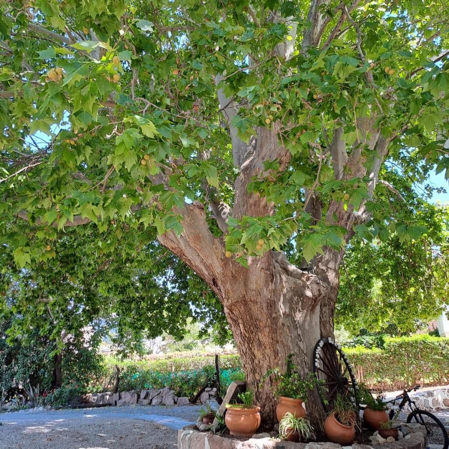 Posada Del Arbol Capilla del Monte Exteriör bild